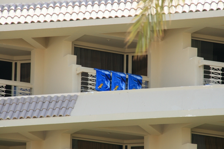 Vakantie Egypte 2010-312.jpg